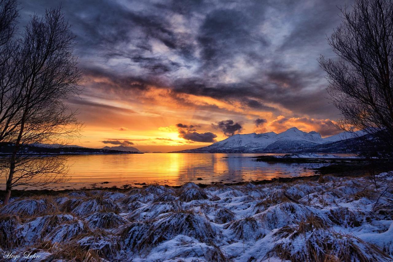 Senja Fjordhotell And Apartments Stonglandseidet Экстерьер фото